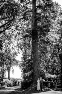 photographe-mariage-bordeaux-sebastien-huruguen-maries-chateau-lagrange-medoc-gigantesque-arbre