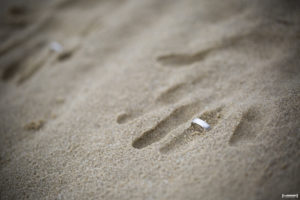 mariage-bassin-arcachon-ceremonie-laique-plage-lanton-tir-au-vol-sebastien-huruguen-photographe-71